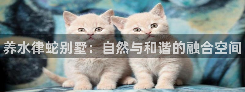 NG体育中国